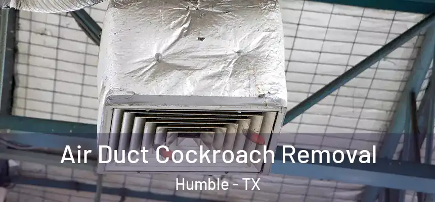  Air Duct Cockroach Removal Humble - TX