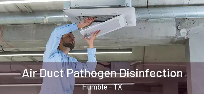  Air Duct Pathogen Disinfection Humble - TX