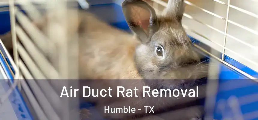  Air Duct Rat Removal Humble - TX