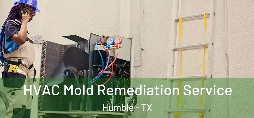  HVAC Mold Remediation Service Humble - TX