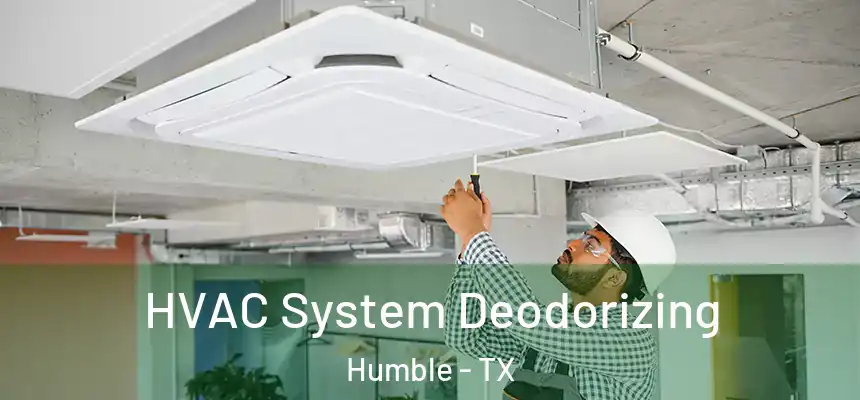  HVAC System Deodorizing Humble - TX