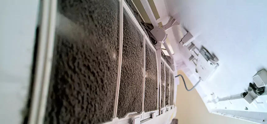 Preventive Air Duct Bacteria Removal in Humble