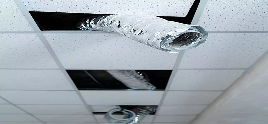 Our Air Duct Pet Hair Removal Services in Humble, TX