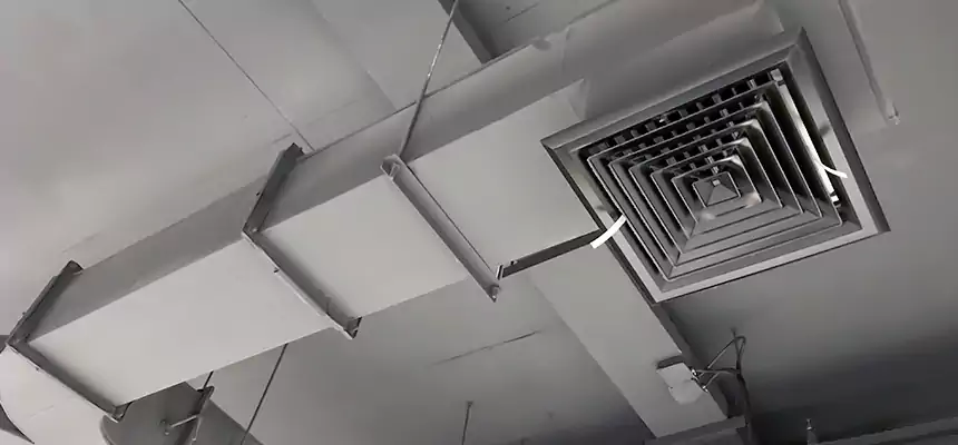 Restorative Allergy Relief Vent Cleaning – Coil, Blower & Housing Detail in Humble