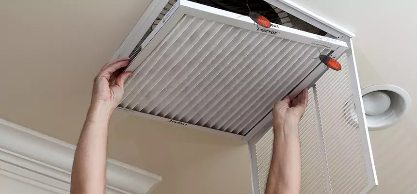Our Insect Removal from Air Ducts Services in Humble, TX