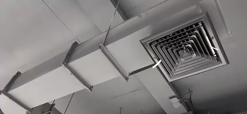 Our Pest Removal From Ducts Services in Humble, TX