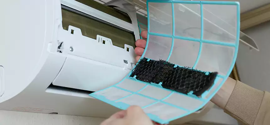 Gentle Ductwork Odor-Control Pet Dander Duct Cleaning in Humble, TX