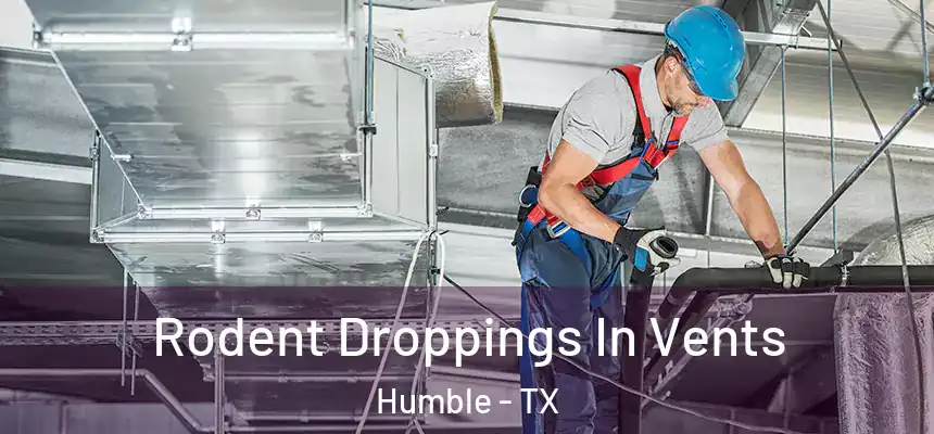 Rodent Droppings In Vents Humble - TX