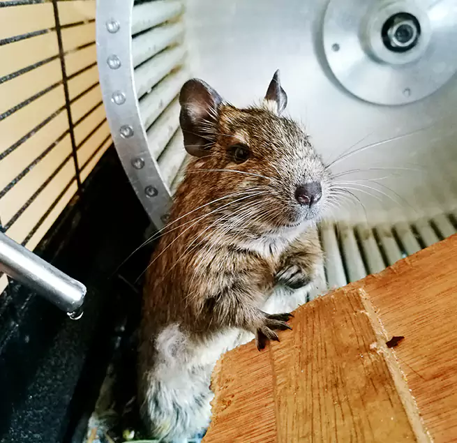 Why Homeowners & Businesses Trust Us Humble, TX