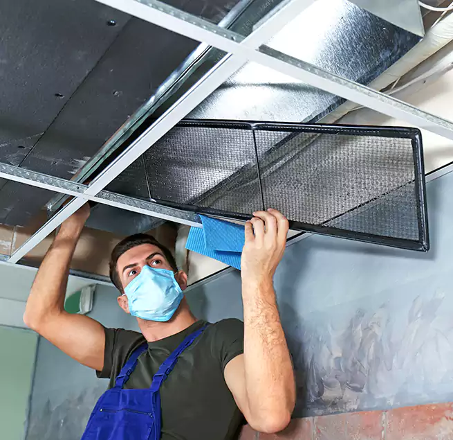 Why Homeowners Businesses Trust Us in Humble, TX