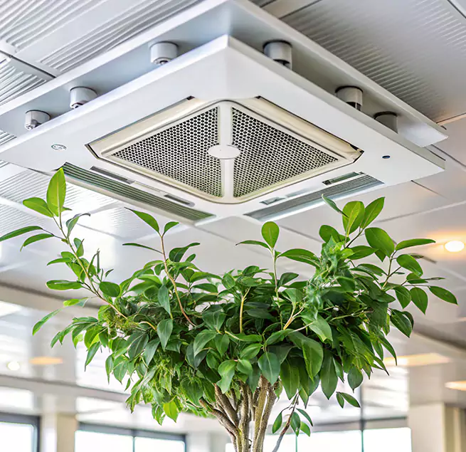 Why Homeowners & Businesses Trust Us in Humble, TX