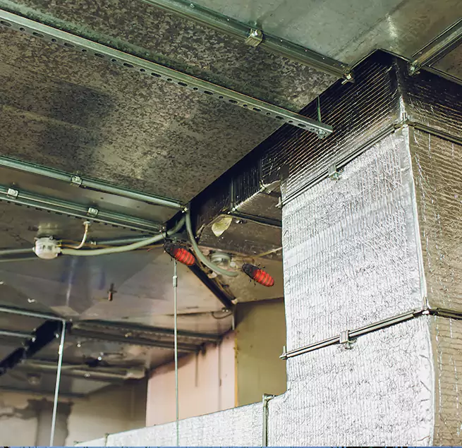 Why Homeowners & Businesses Trust Us Humble, TX?